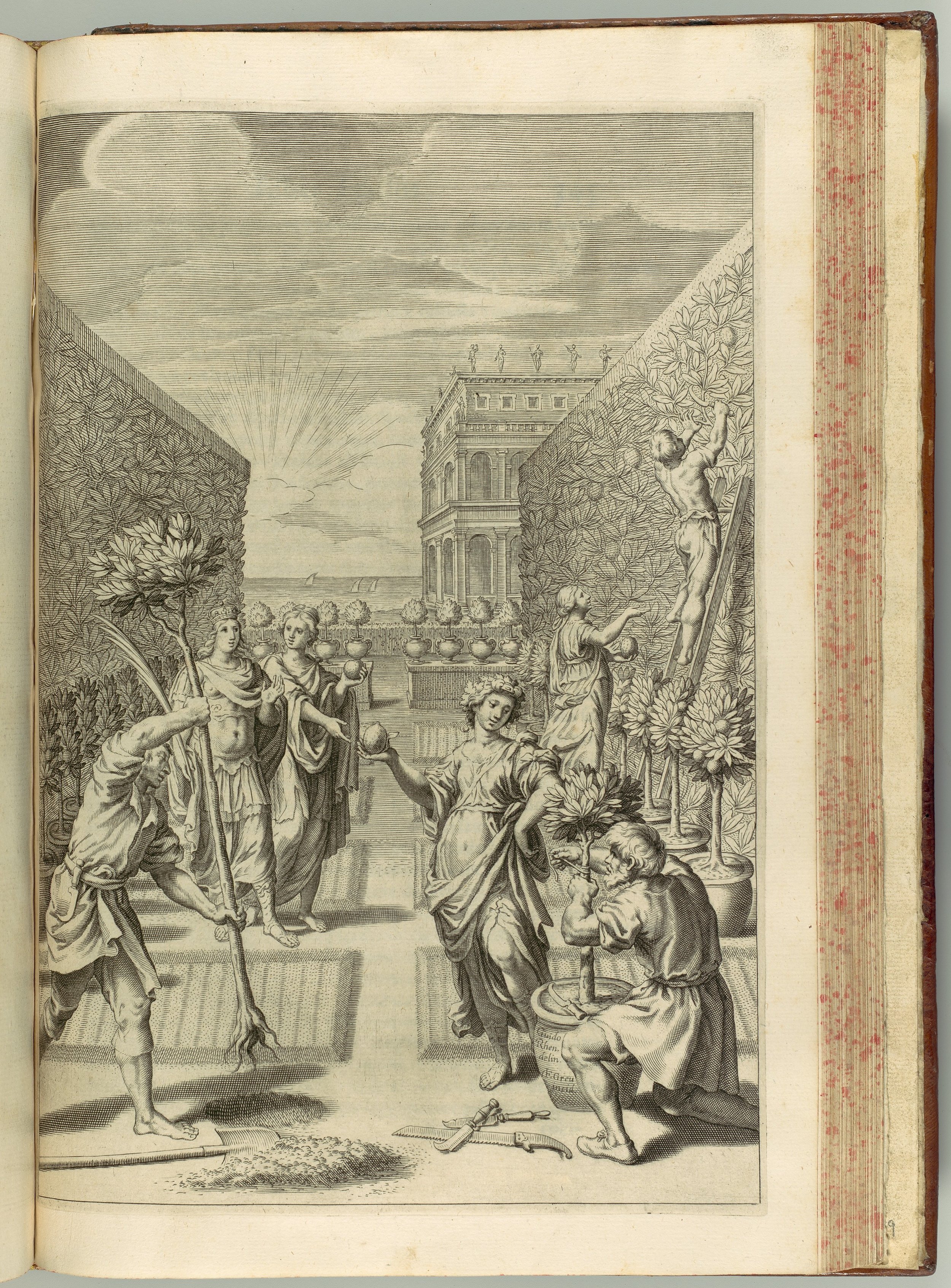 Hesperides sive de Malorum Aureorum cultura et usu. Libri Quatuor by Giovanni Battista