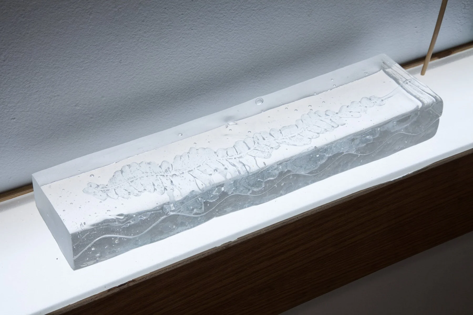 Taylor-Kristen-Image 8.jpg