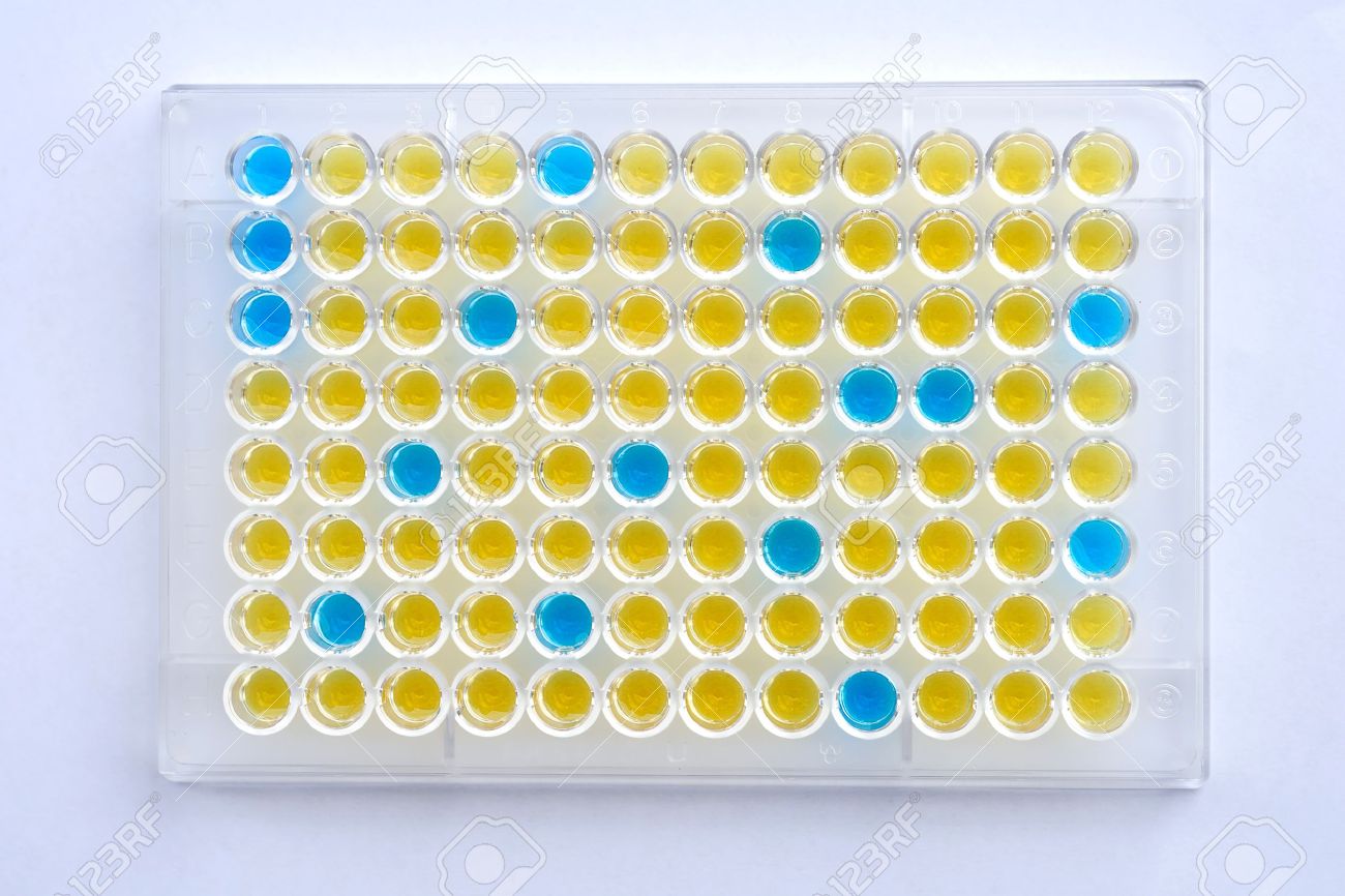 10659827-96-wells-plate-with-solution-Stock-Photo-elisa-plate.jpg
