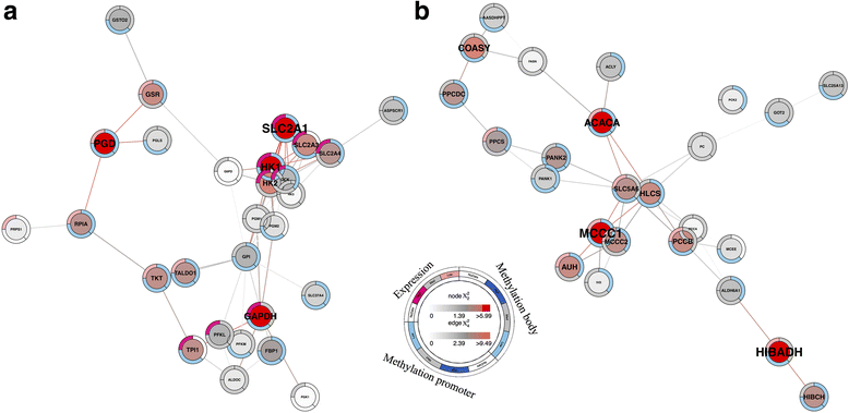 epigenetics.gif