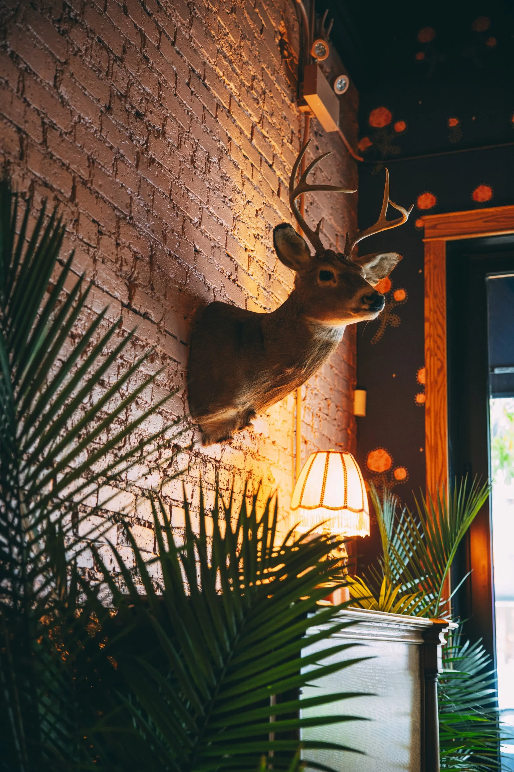 2024_09_24_Sweethearts_0163_small 3.JPG