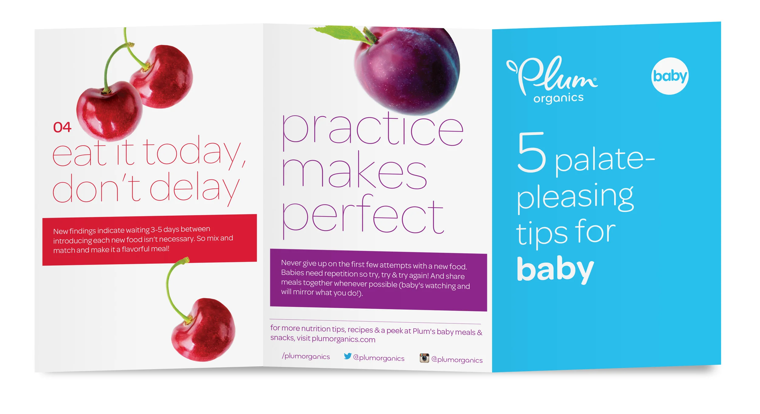 baby_brochure_side1.jpg