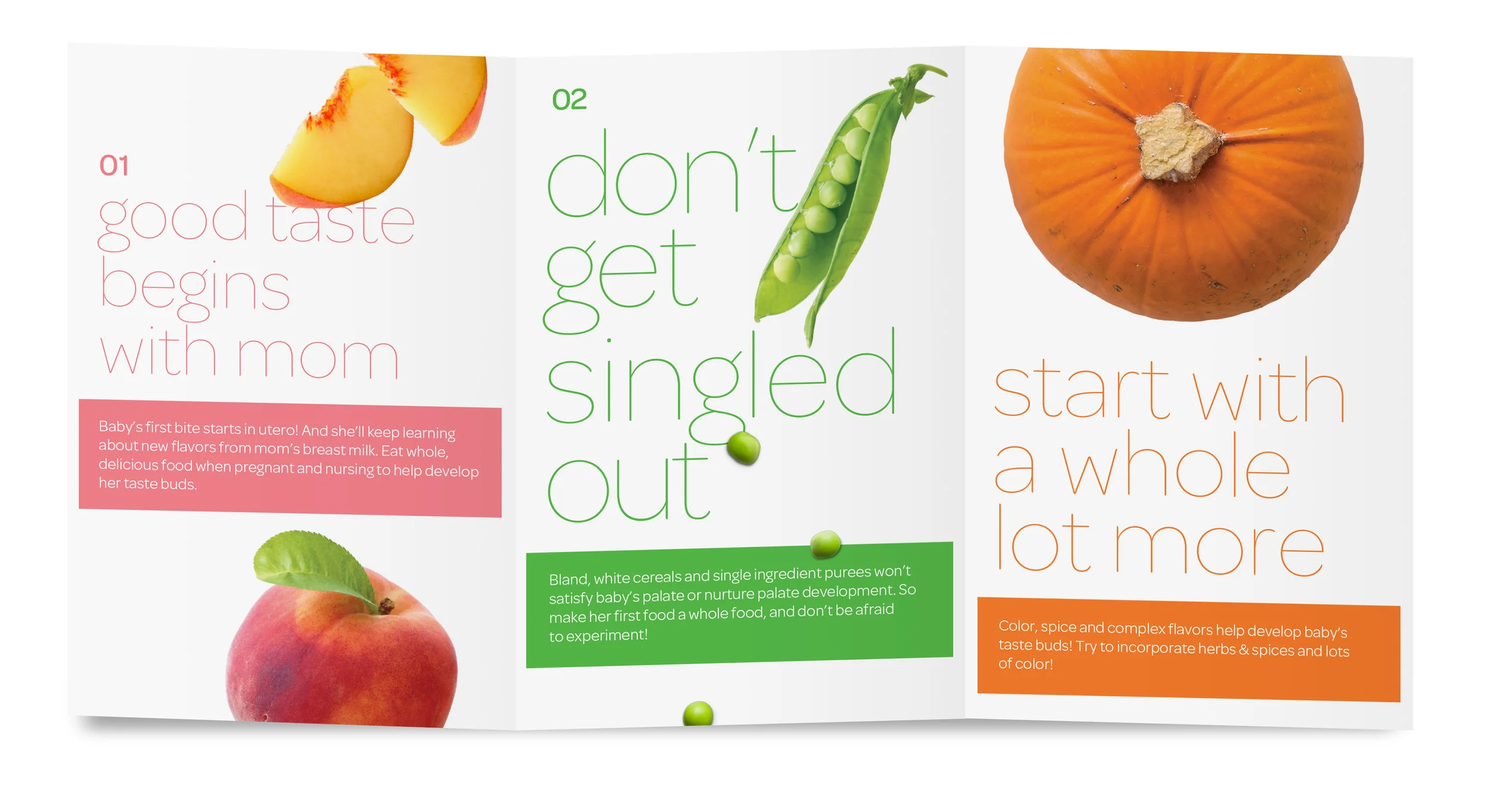  Brochures designed to highlight Plum Organics’ food philosophy and mission. 