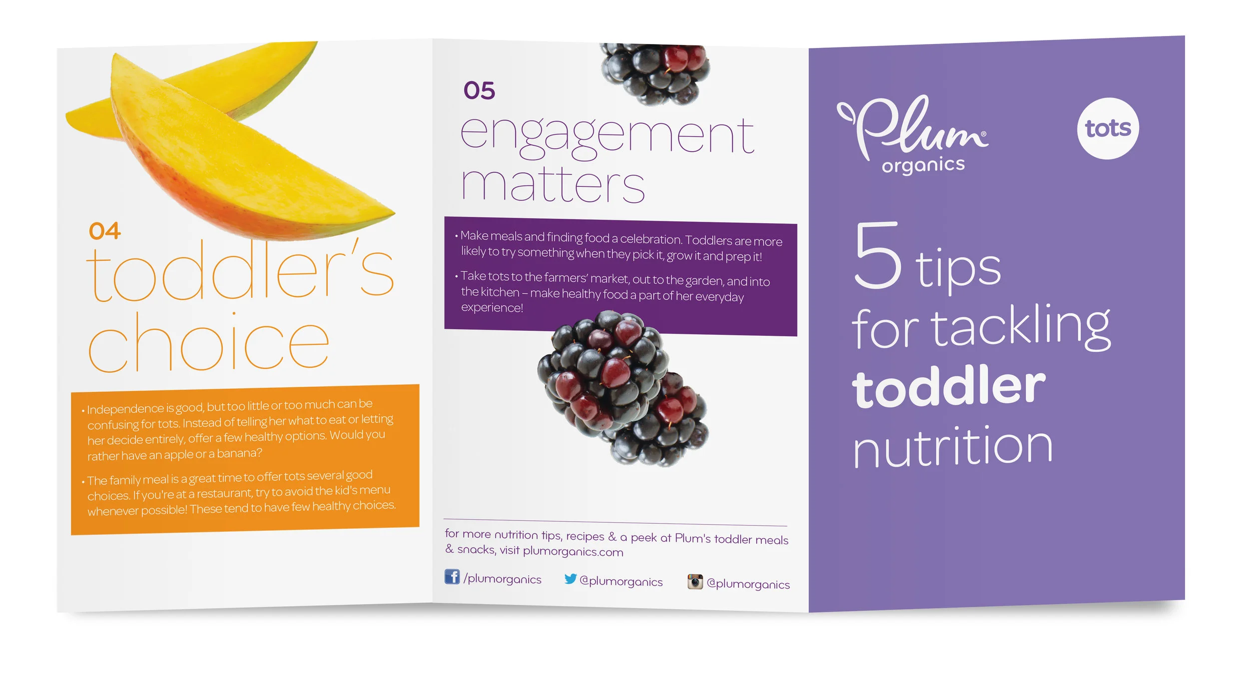 tots_brochure_side1.jpg