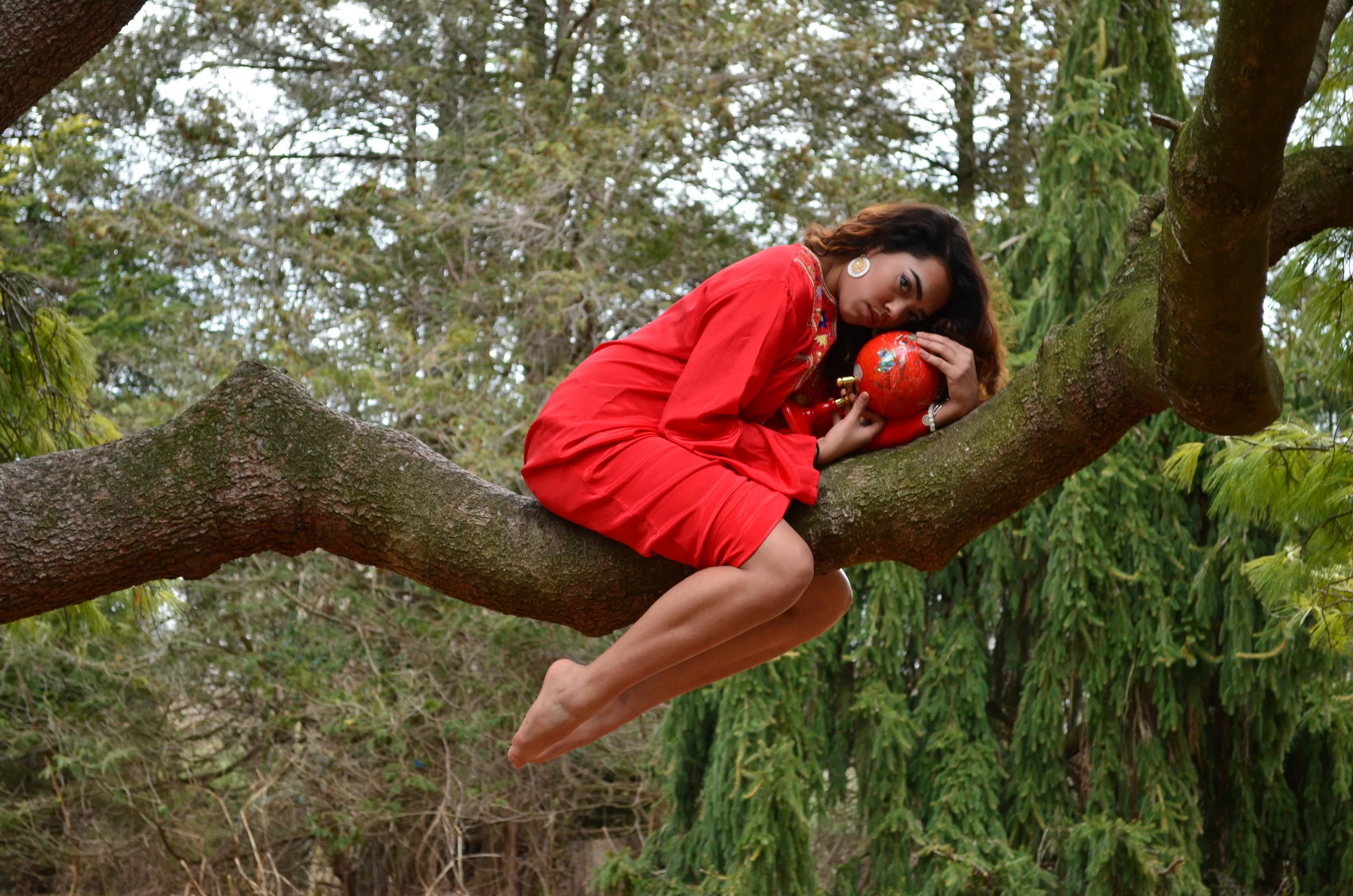 The Spiritual Journey— Surviving Violence