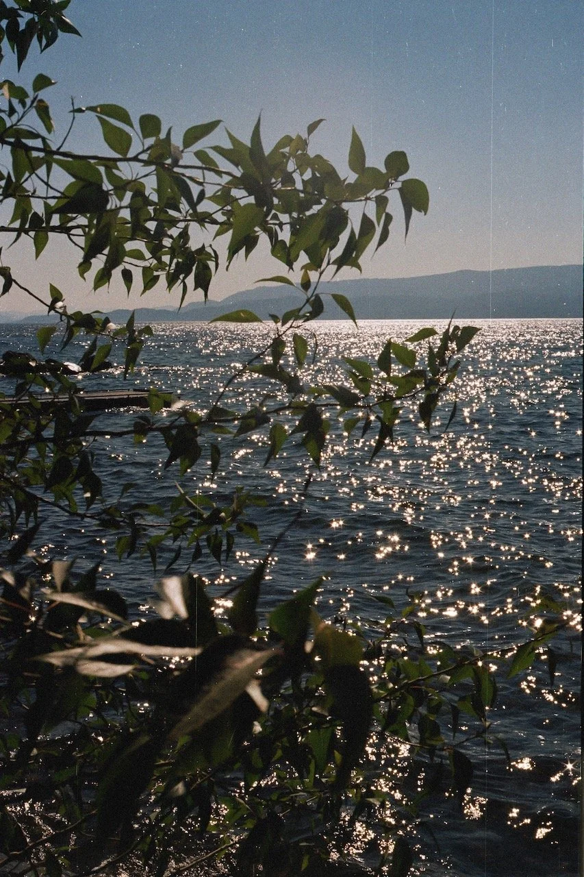 Dreams - 26.jpeg