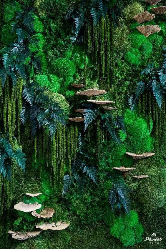 4d9f1528bdc5e70bdb2a963a80cee14c.jpg