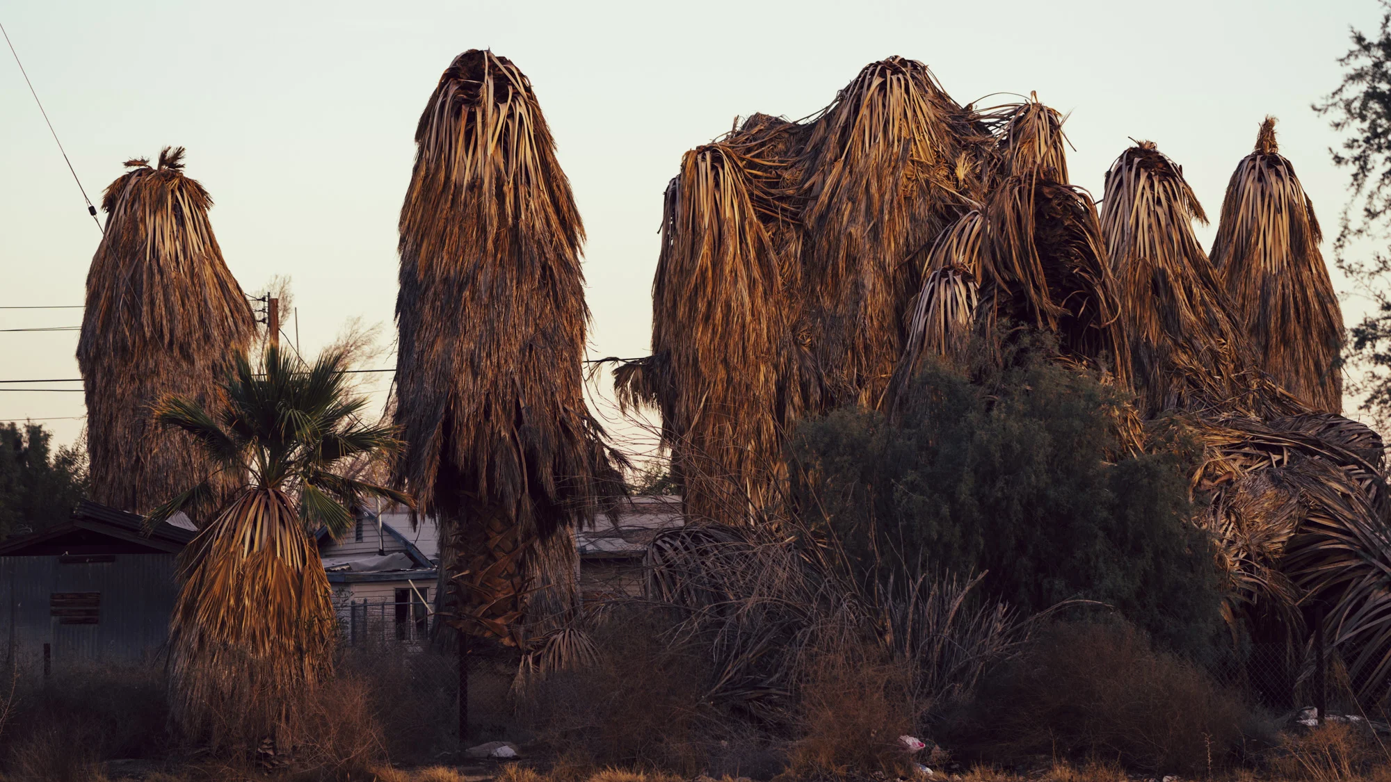 Slab City, CA 2018 - Taliesin Gilkes-Bower