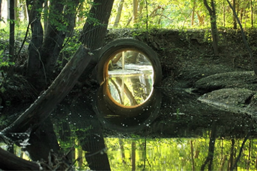  View under the trail as the creek passes beneath 