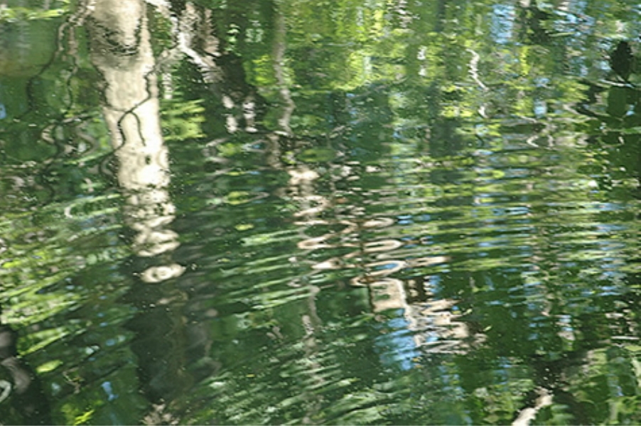 Teaneck Creek Conservancy Pond Reflection.jpg