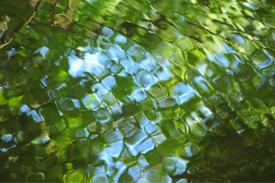 Teaneck Creek Conservancy water reflection ripples.jpg