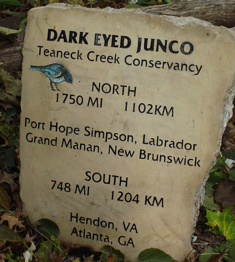 Migration Mileposts - Lynne Hull 2004 8 recycled, sandblasted and painted 200lb slabs of concrete highway debris
