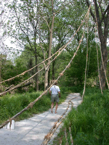 Alien Beauty - Rob Staab 2007 Phragmites (common red), twine