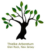 Thielke Arboretum