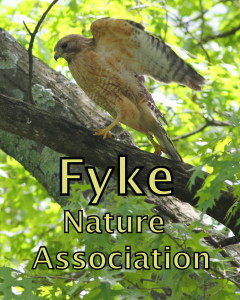 Fyke Nature Association