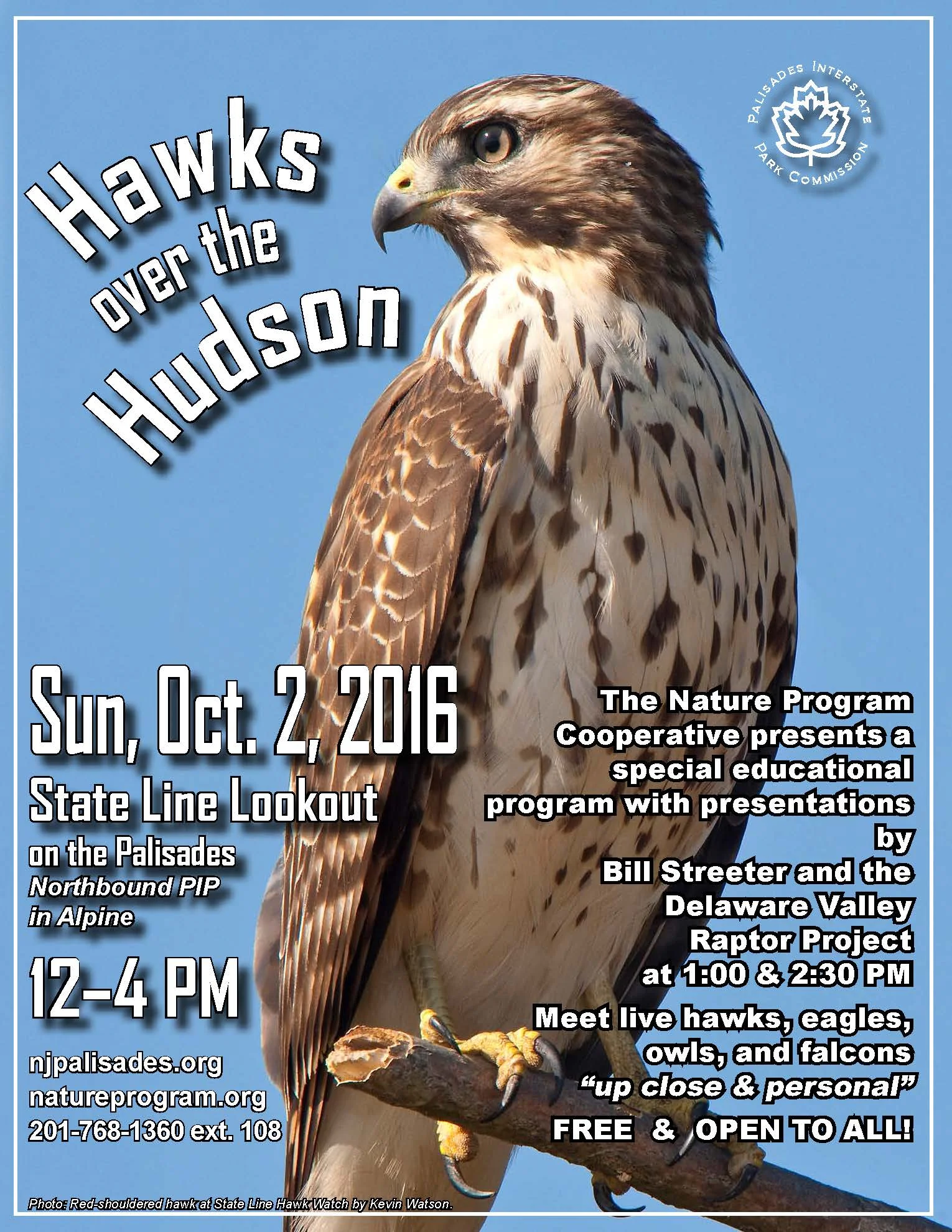 Hawks Over The Hudson 