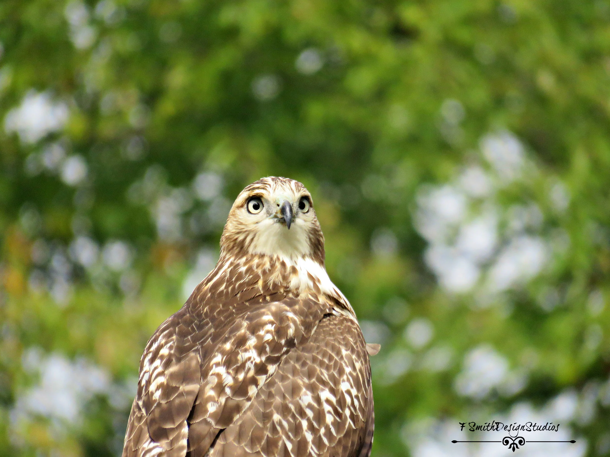 Bergen County Audubon Society Walk 