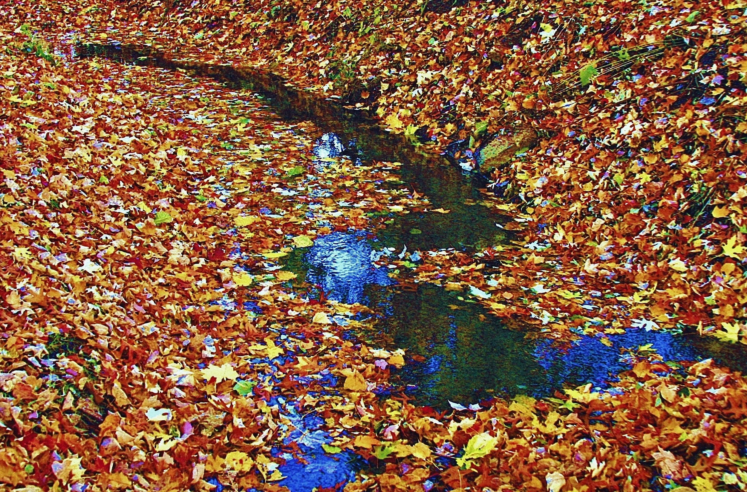 Thanksgiving Holiday