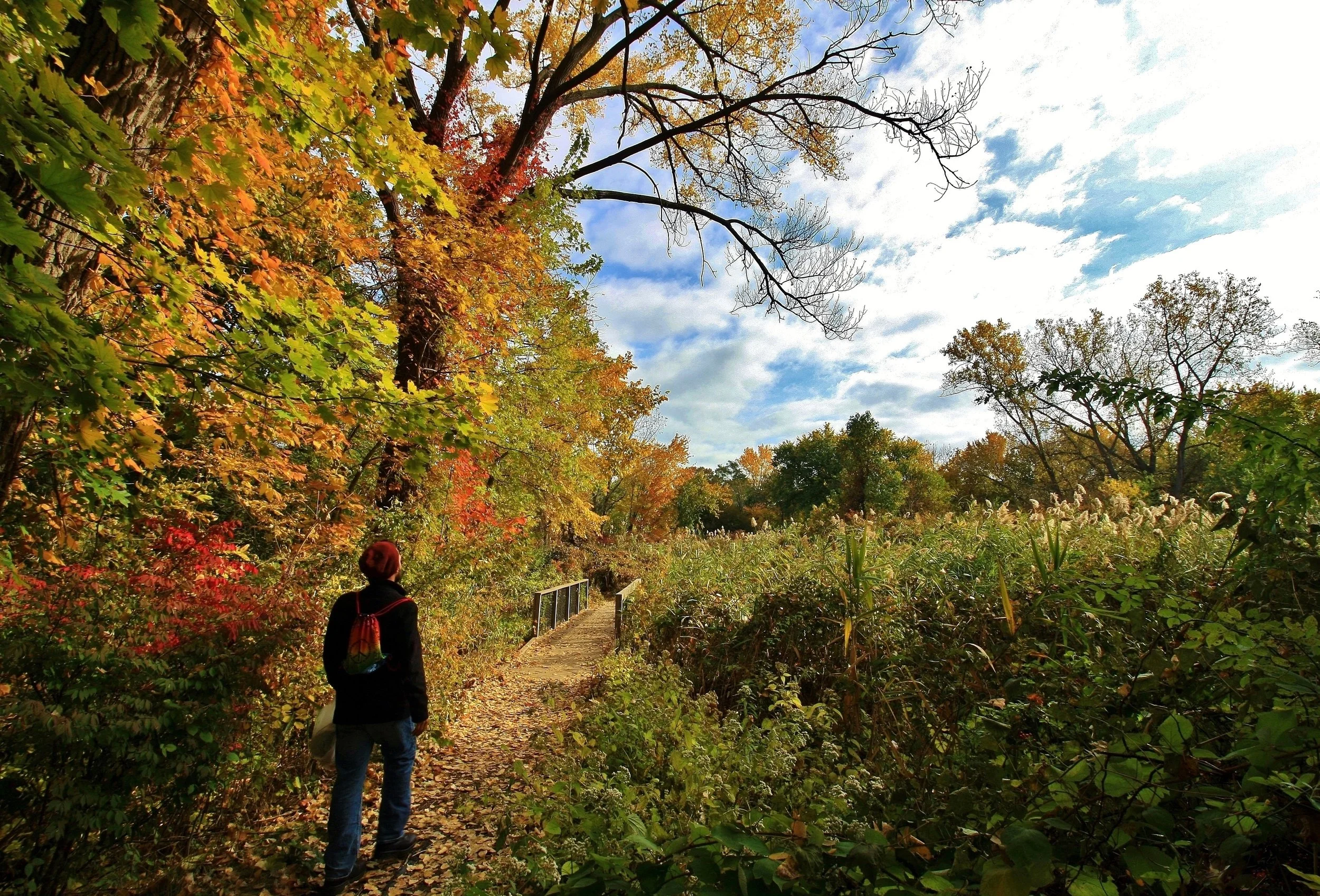 Bergen County Parks Master Plan Stakeholder Meeting 