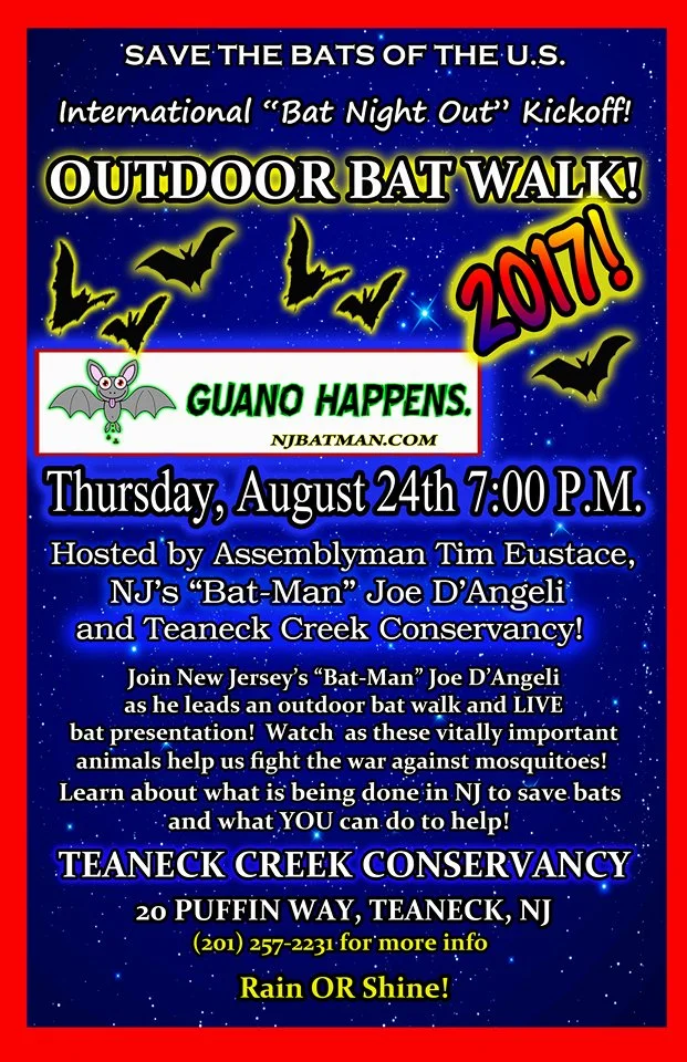 International Bat Night Out