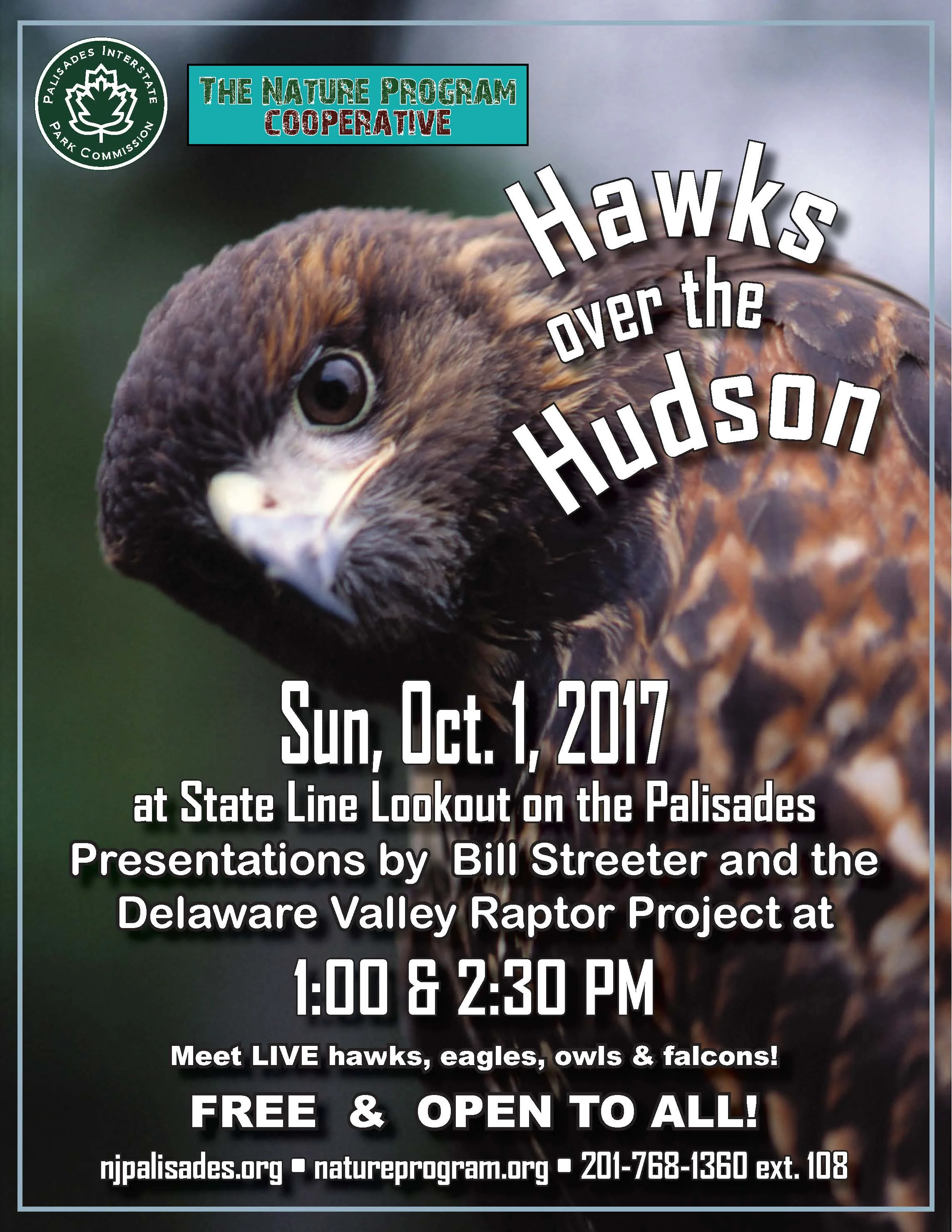 Hawks over the Hudson 