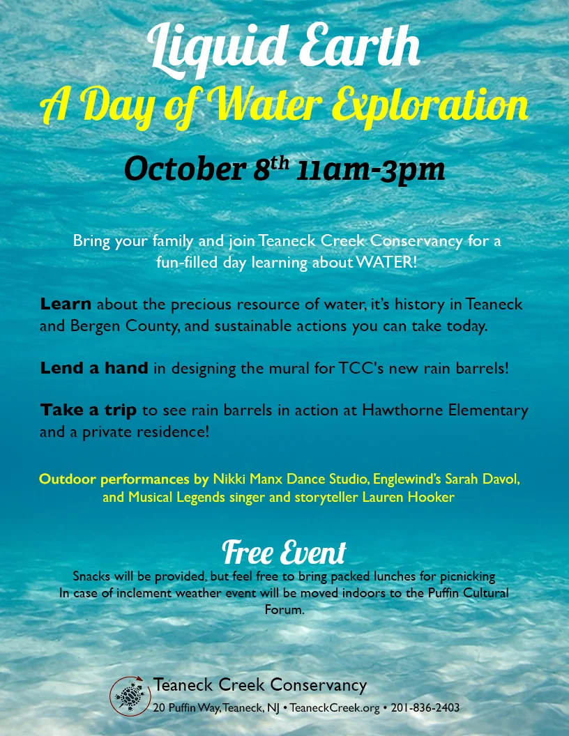 Liquid Earth: A Day of Water Exploration