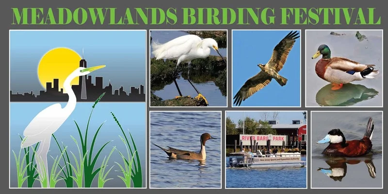 Meadowlands Birding Festival