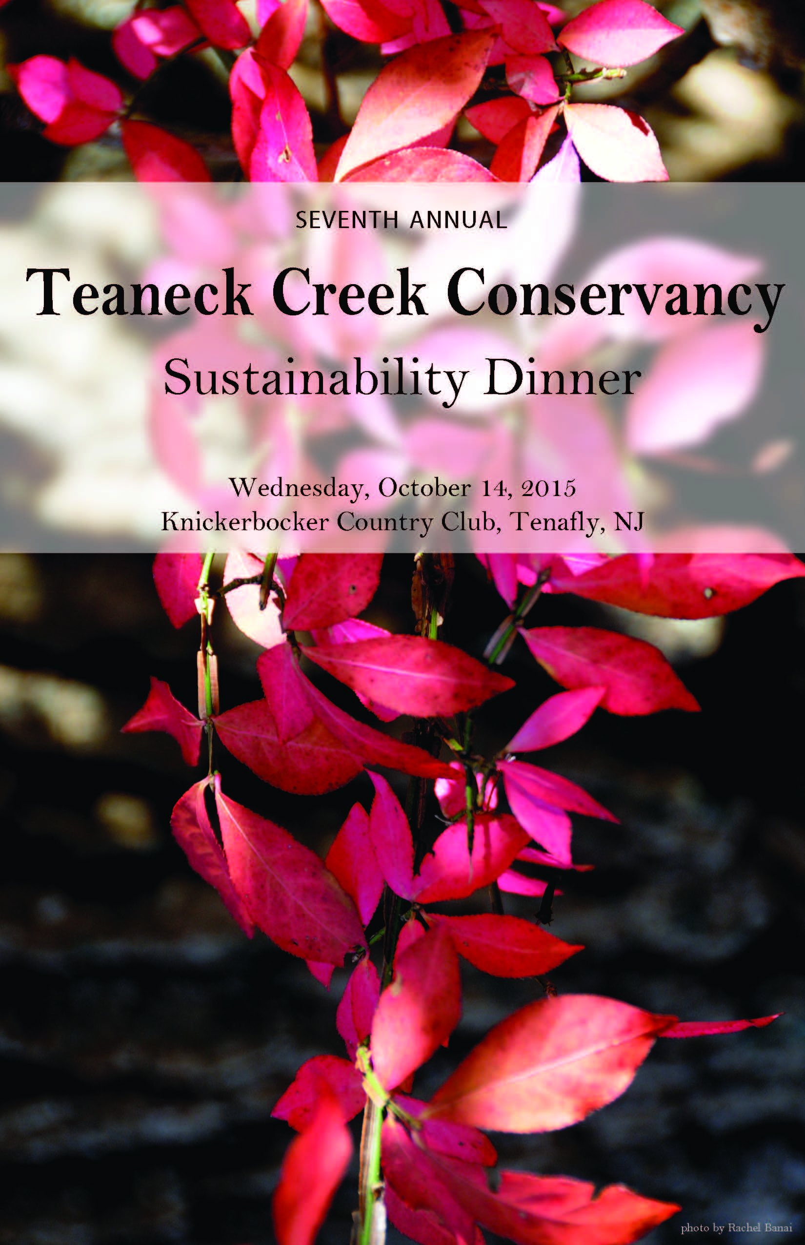 2015 TCC Ad  Journal No Bleed_Page_01.jpg