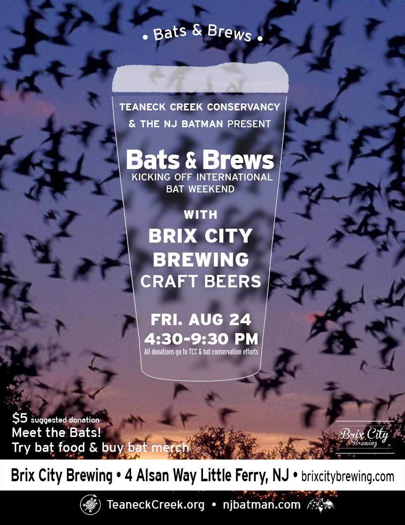 Bats & Brews