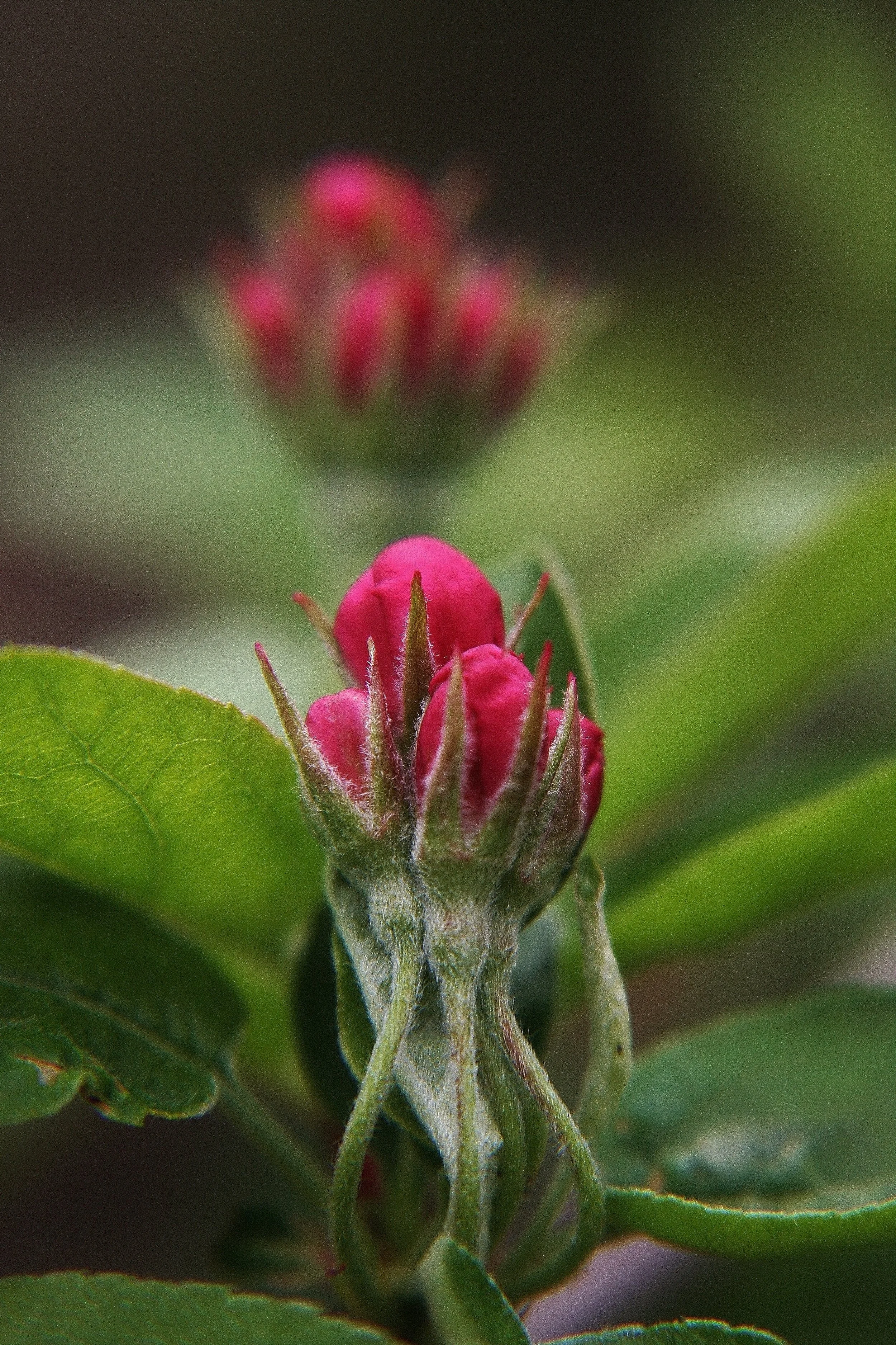 Sustainability Dinner