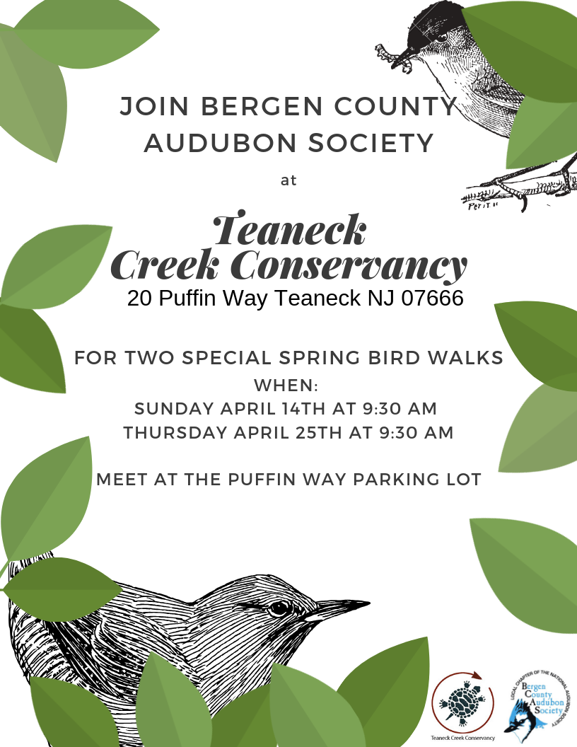 Spring Bird Walk 
