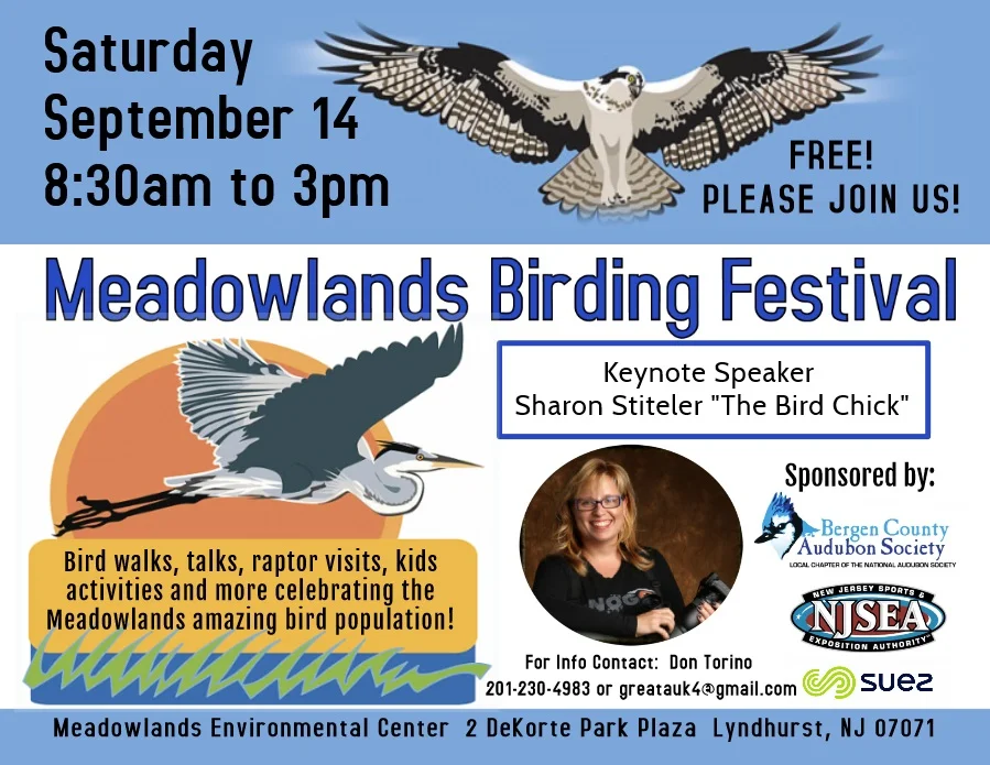 Meadowlands Birding Festival