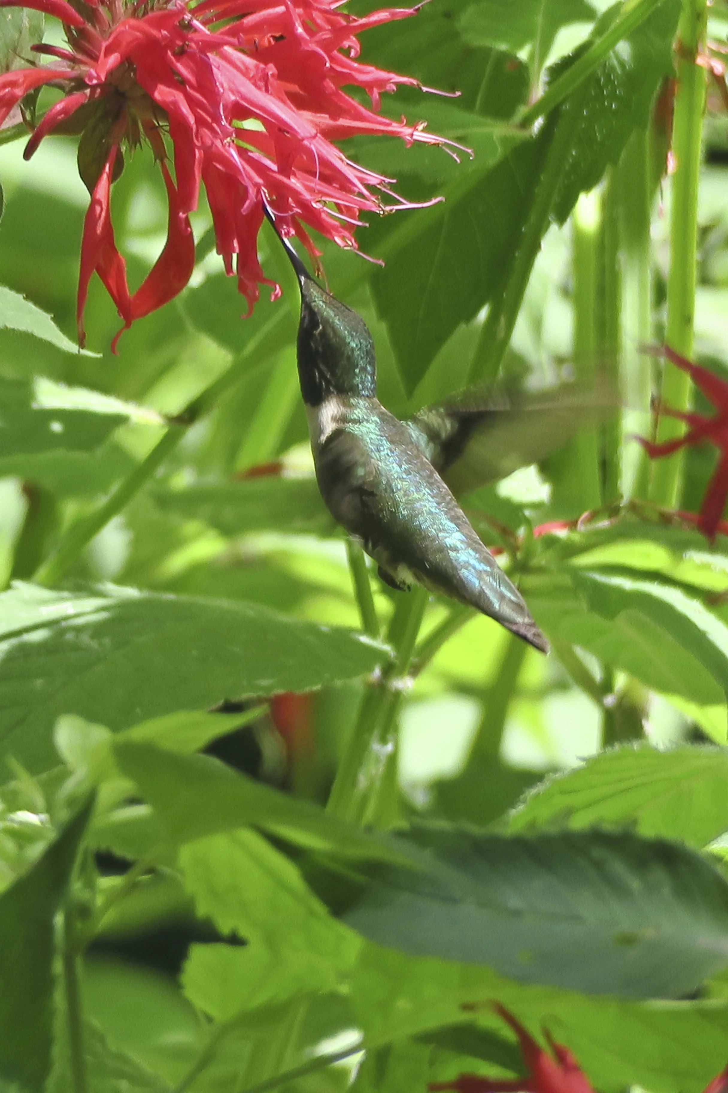 Spirituality In Nature: Christianity 