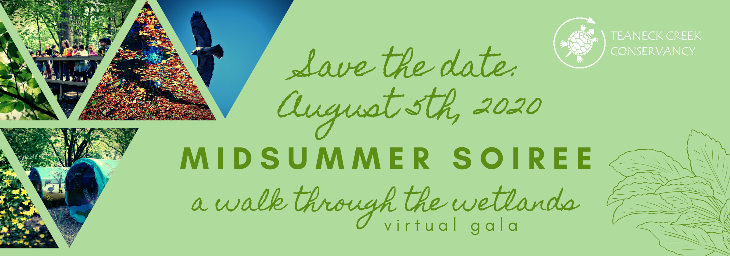 Midsummer Soiree: A Walk Through the Wetlands 