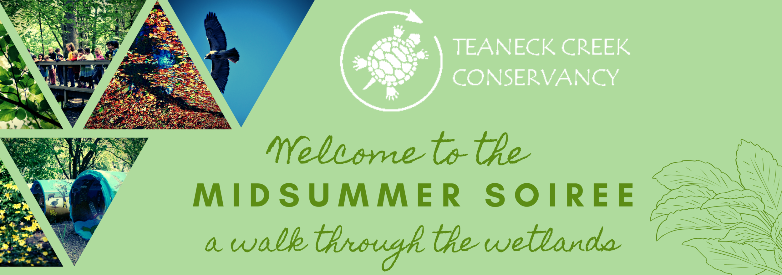 ENCORE Midsummer Soiree: A Walk Through the Wetlands 