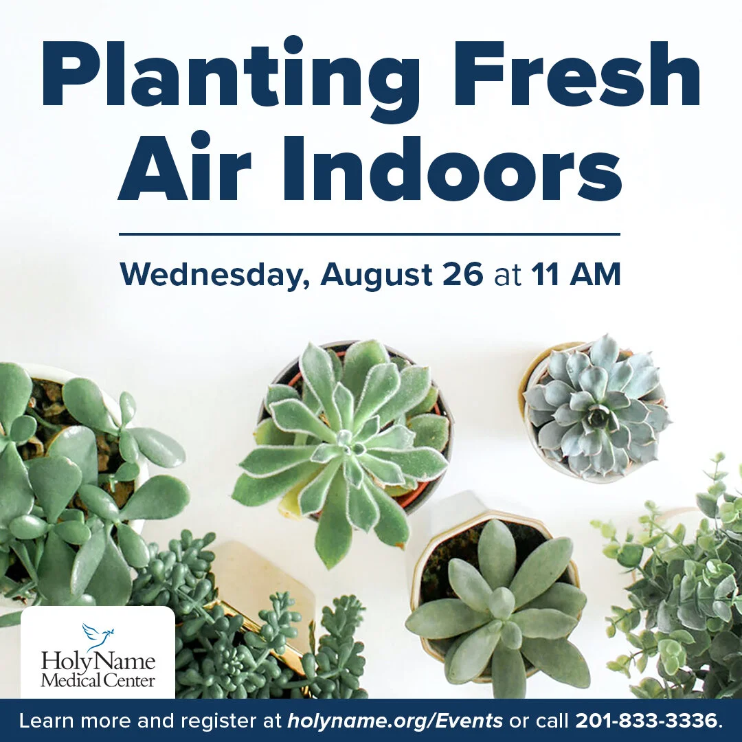 Planting Fresh Air Indoors 