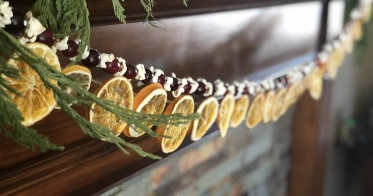 SNOW Many Crafts: Bird-Friendly Garland