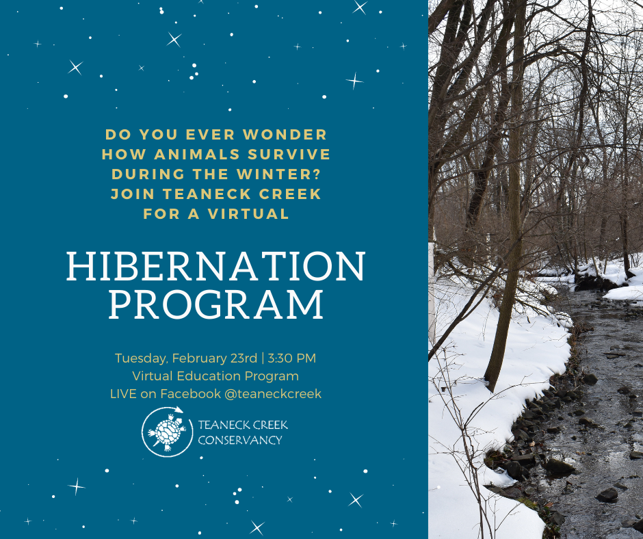 Facebook LIVE: Hibernation Program