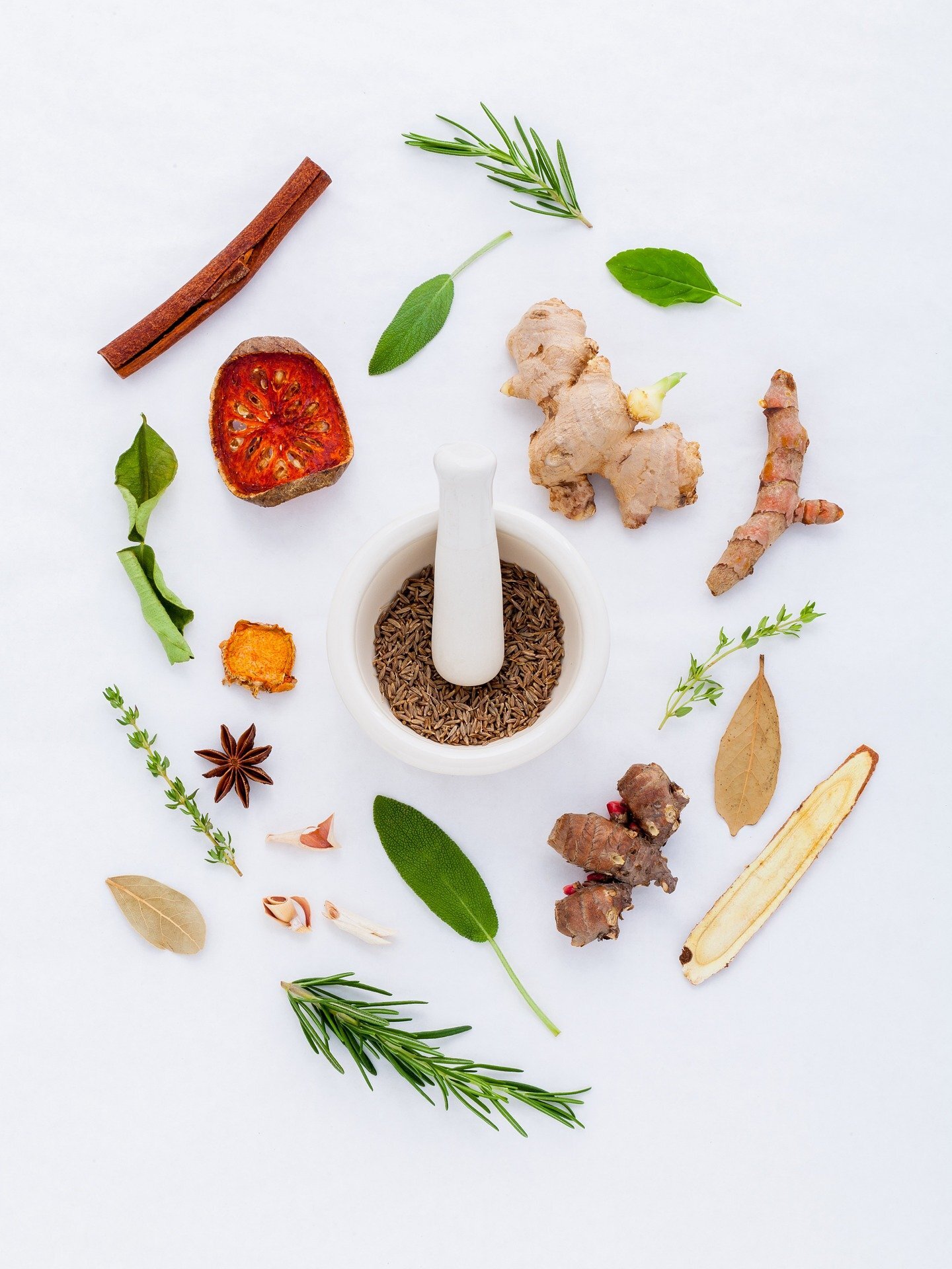 The Relationship Between Plants and Healing