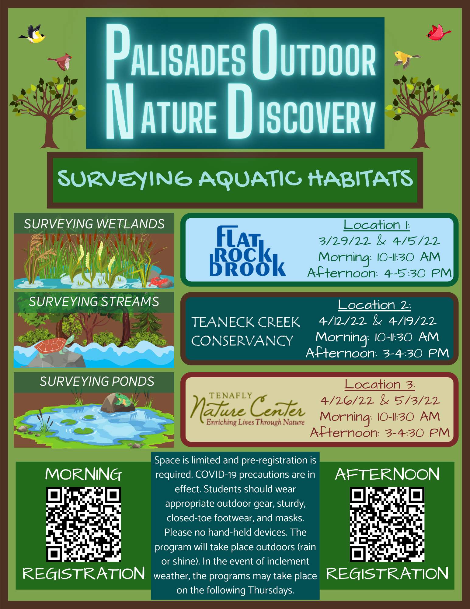 Palisades Outdoor Nature Discovery: Afternoon Session 