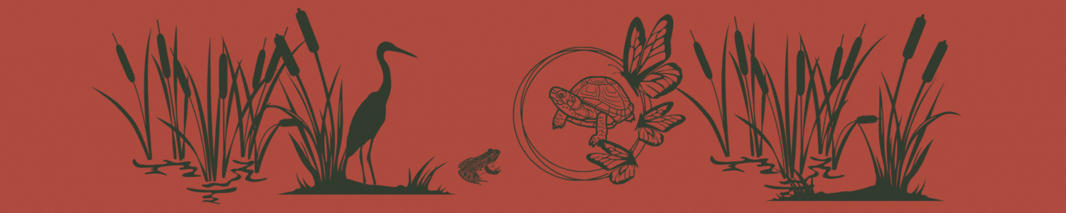 squarespacebanner (1).gif