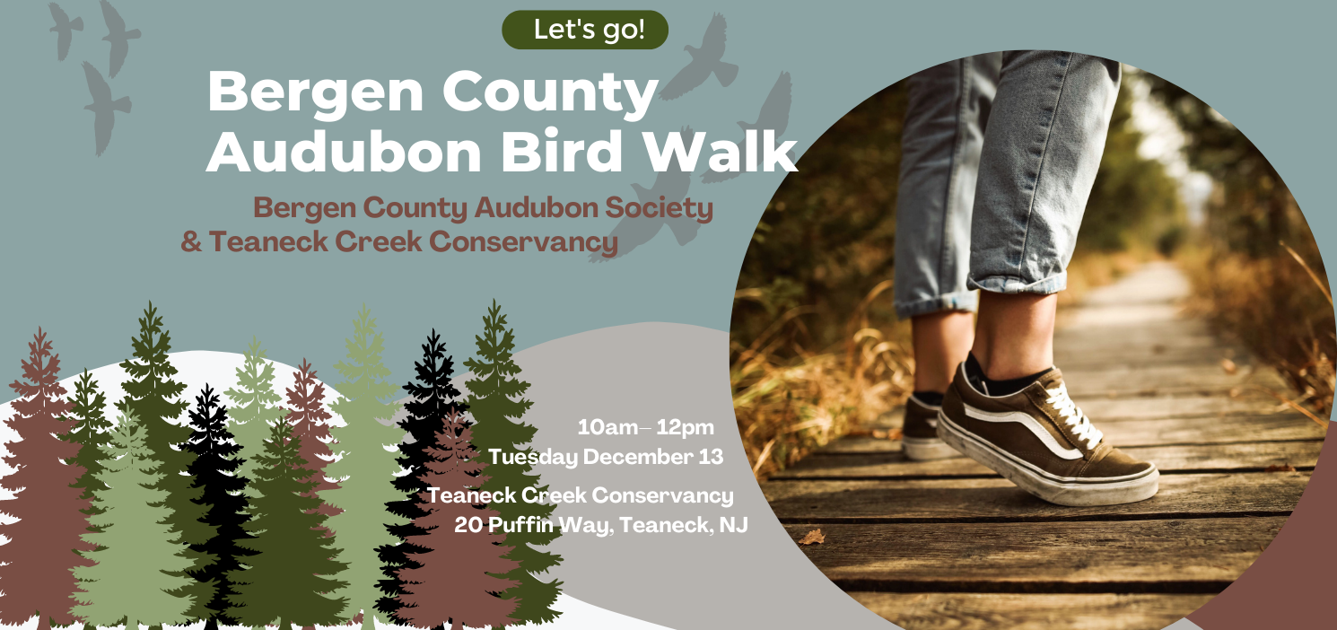 Bergen County Audubon Bird Walk
