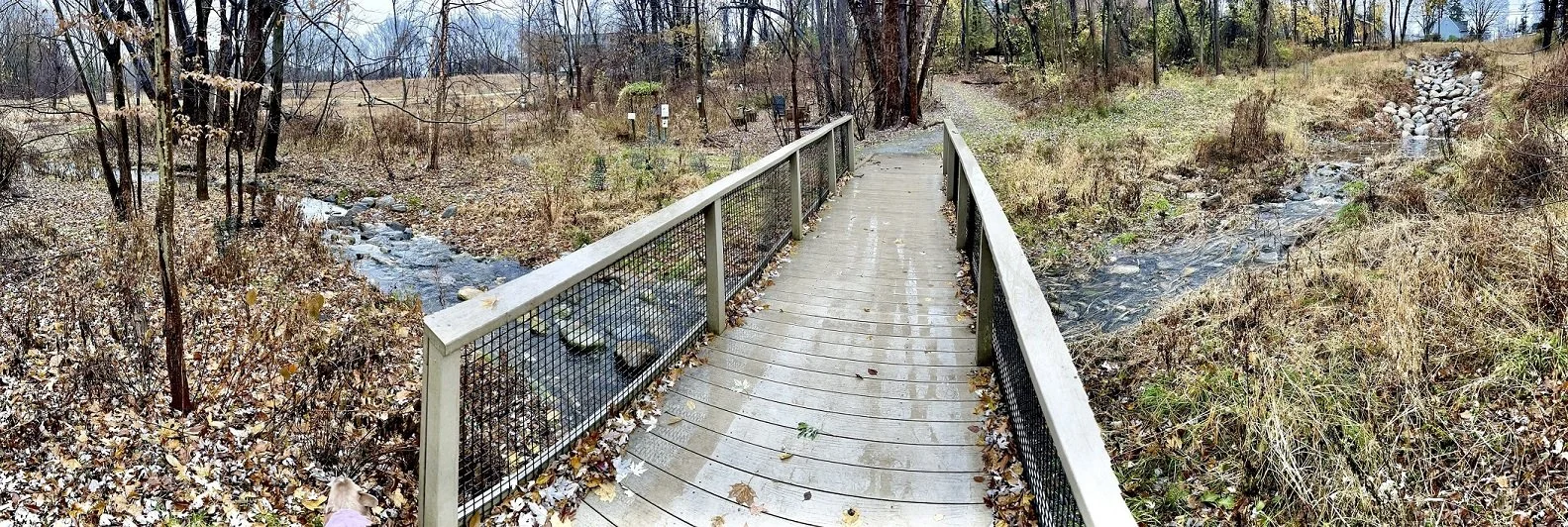 Dave Chalek Dec 2022 - IMG_8338.JPEG