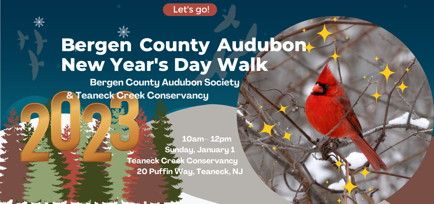 Bergen County Audubon New Year's Day Walk