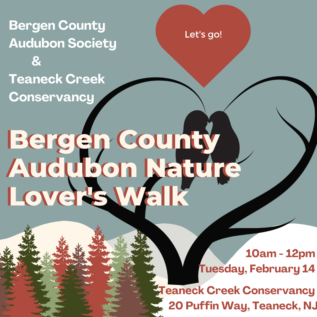 Nature Lover's Walk with Bergen County Audubon