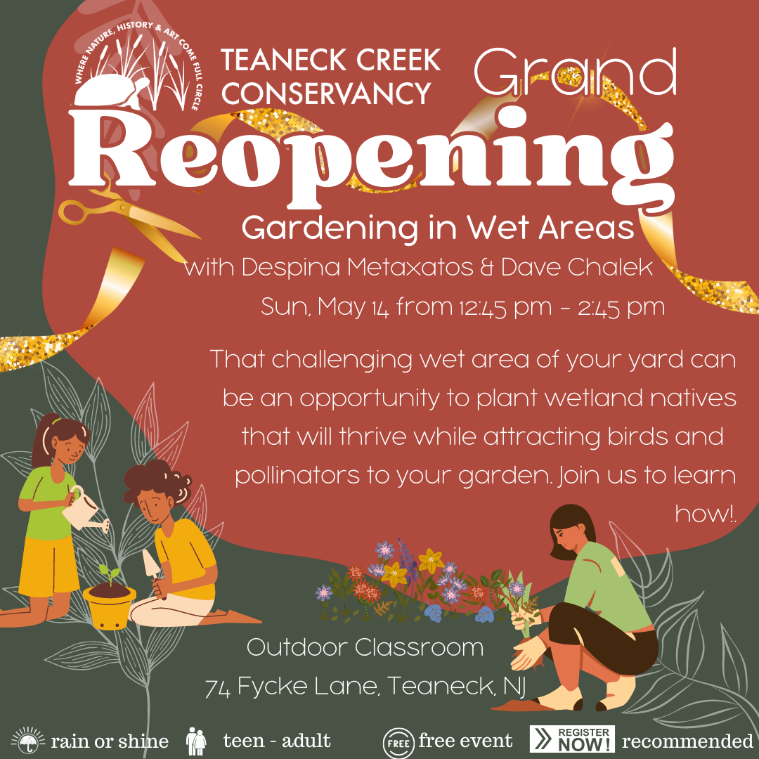 Reopening: Gardening in Wet Areas