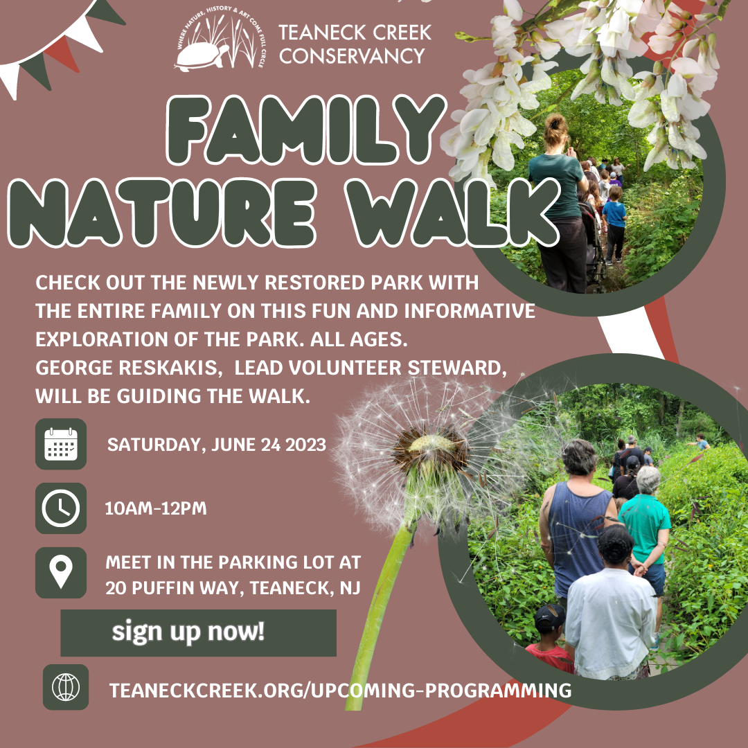 Family Nature Walk