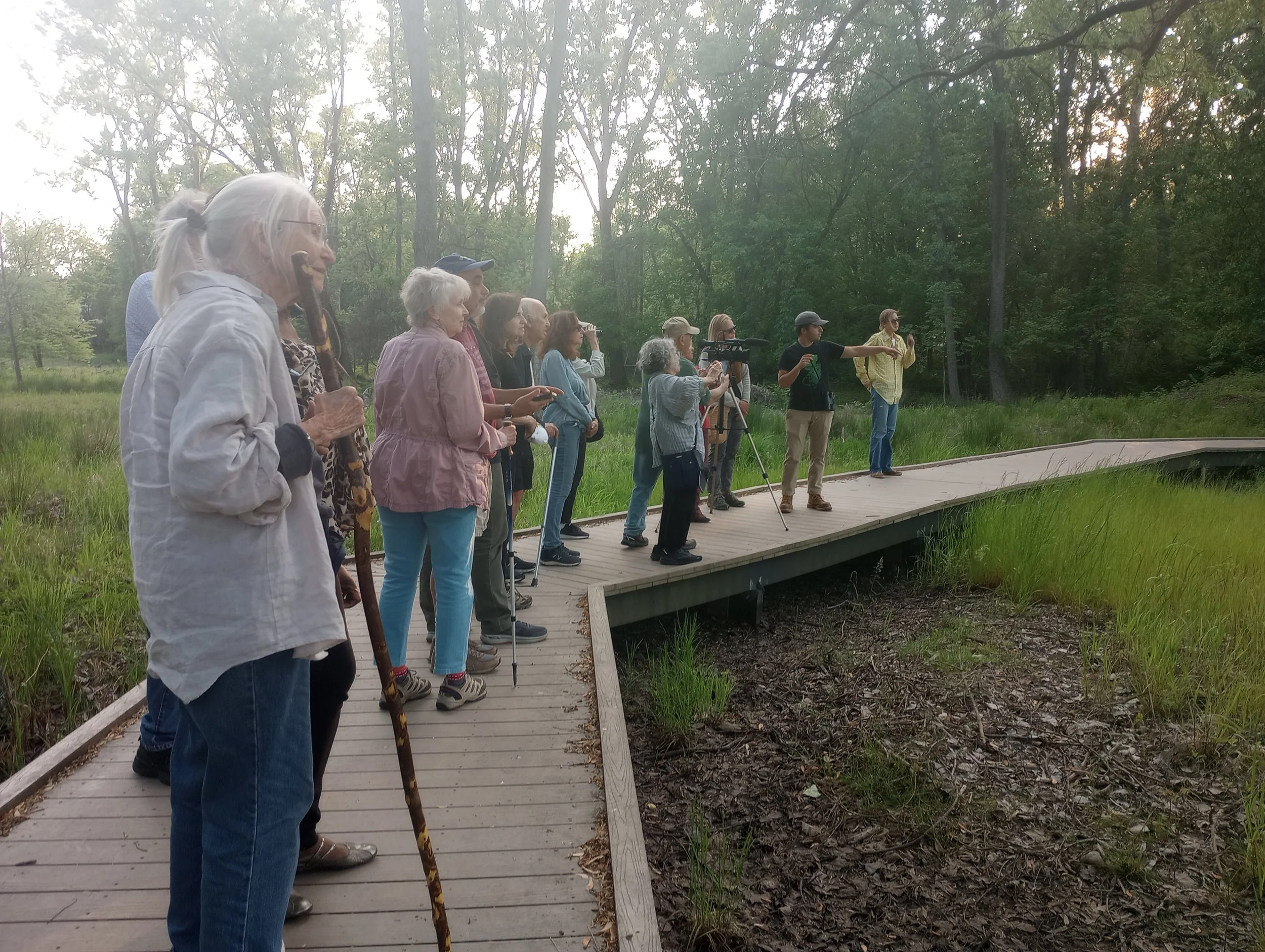 Bergen County Parks Department, Puffin Foundation to Host Information, Q & A Session on Stormwater Management and Biodiversity at Teaneck Creek Conservancy