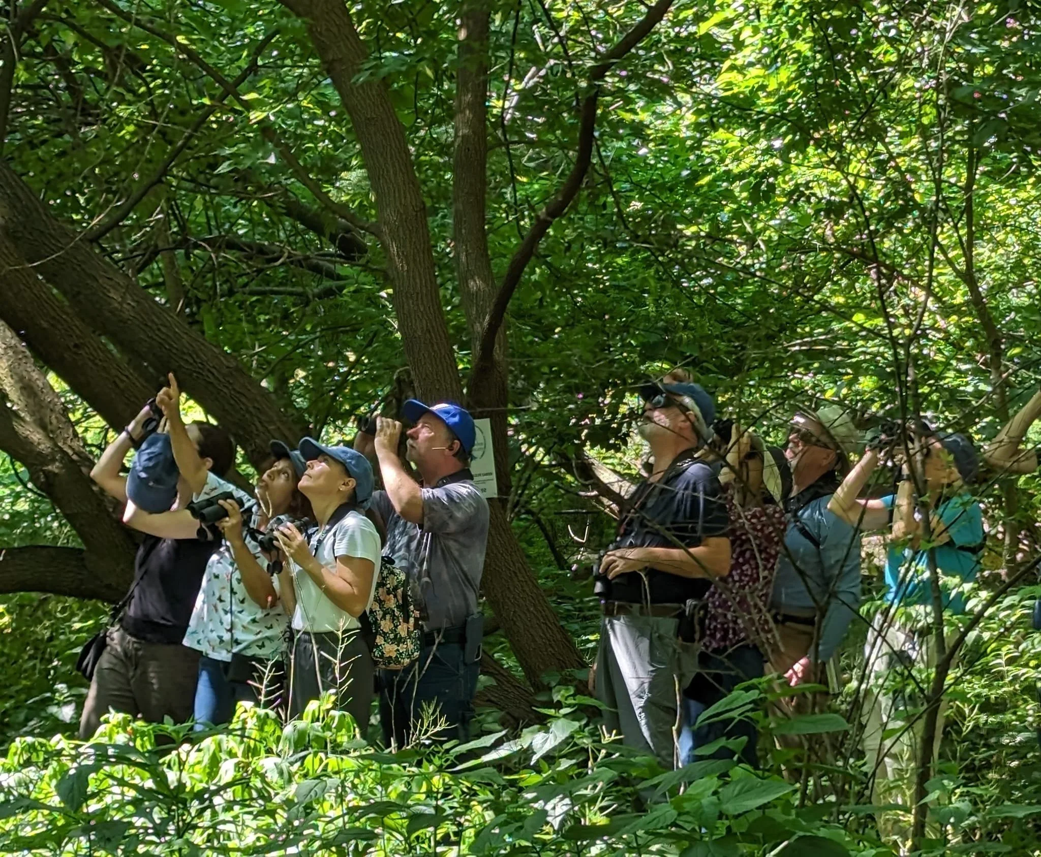 An Interactive Experience: Learn about Birds and Investigate Nature