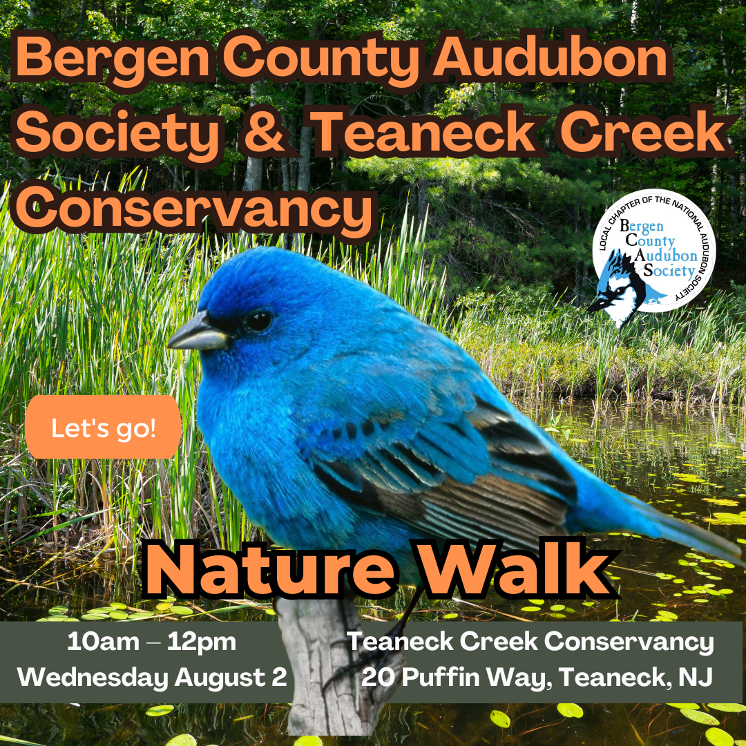 BCAS Nature Walk